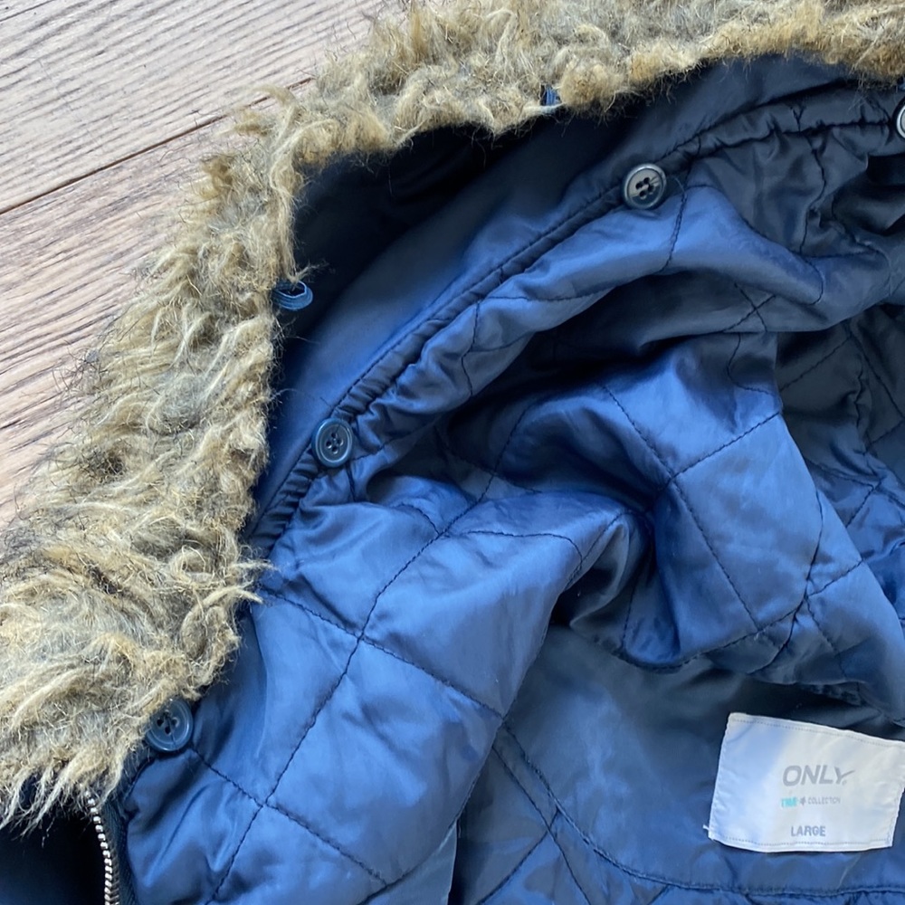 Blue Puffer - image 8